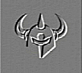Darkstar Skateboards Logo